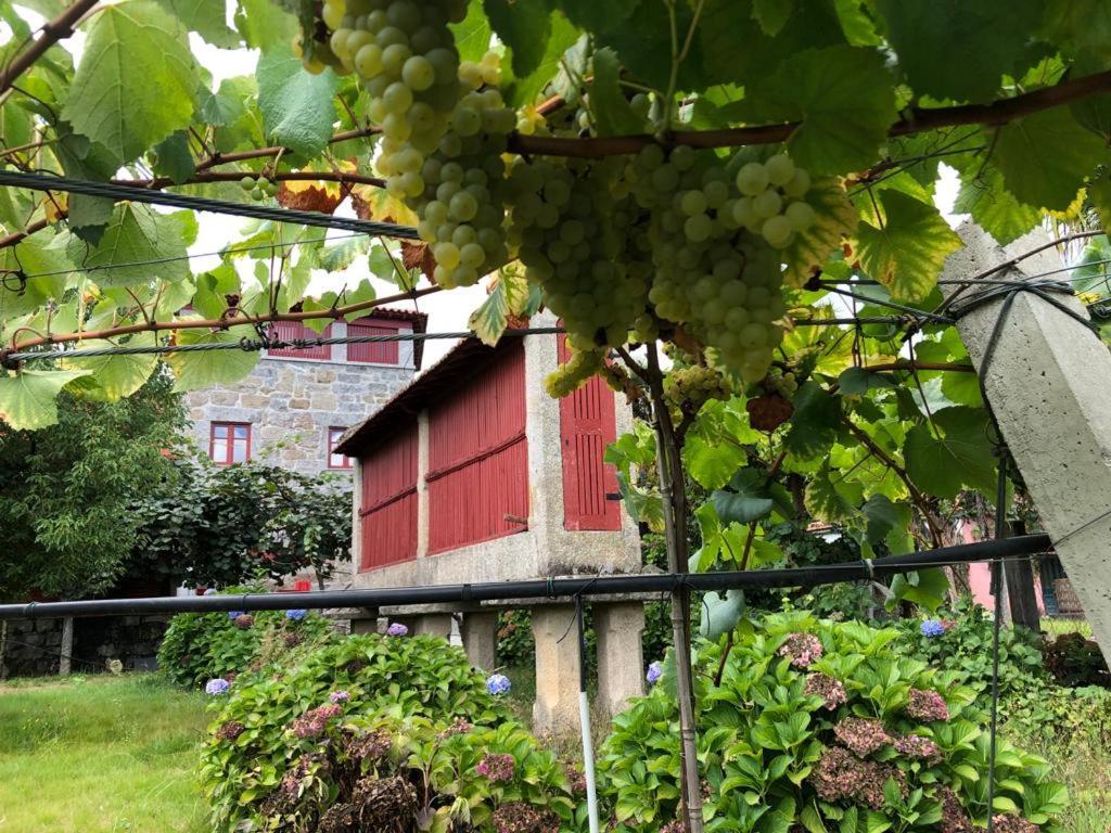 费尔格拉斯Quinta De Maderne别墅 外观 照片