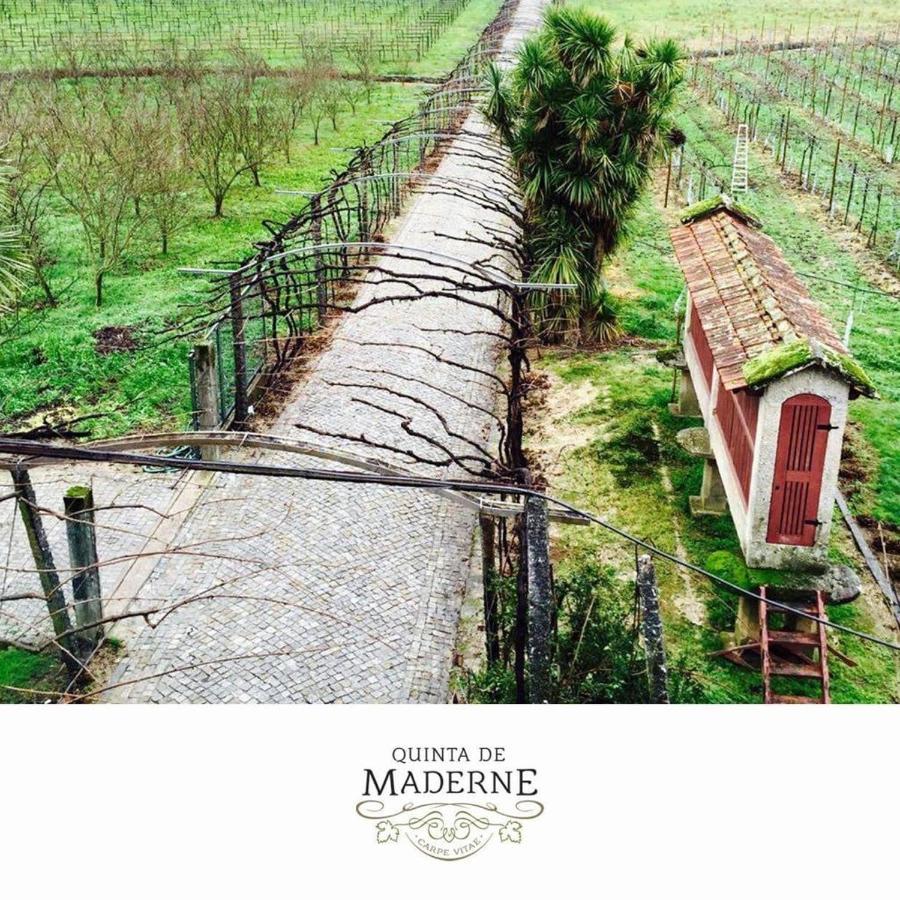 费尔格拉斯Quinta De Maderne别墅 外观 照片