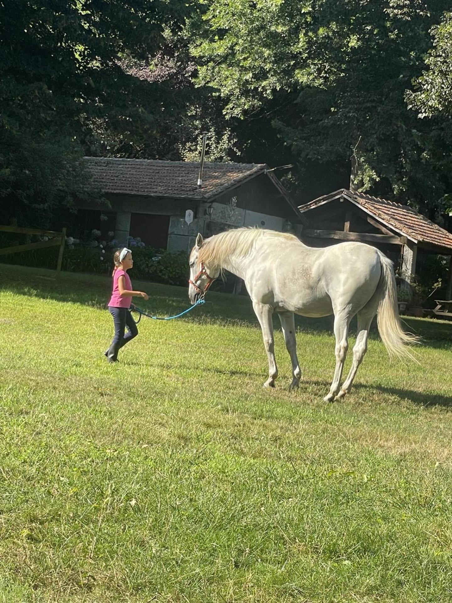 费尔格拉斯Quinta De Maderne别墅 外观 照片